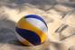 volleyball-2639700_1280.jpg