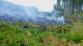 5 16-6-2015 Požár lesní porost Dlouhomilov (5).JPG