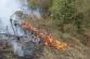 4 Požár lesa, Libějovické Svobodné Hory - 29. 9. 2015 (1).jpg