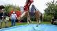JMK_záchrana koně z bazénu_hasiči vytahují koně z vypuštěného bazénu.jpg