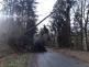 012-Vysoký Chlumec na Příbramsku-dva spadlé stromy přes vozovku.jpg