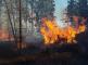 OLK - Požár ve zvláštním stupni poplachu na Olomoucku_hořící les.jpg