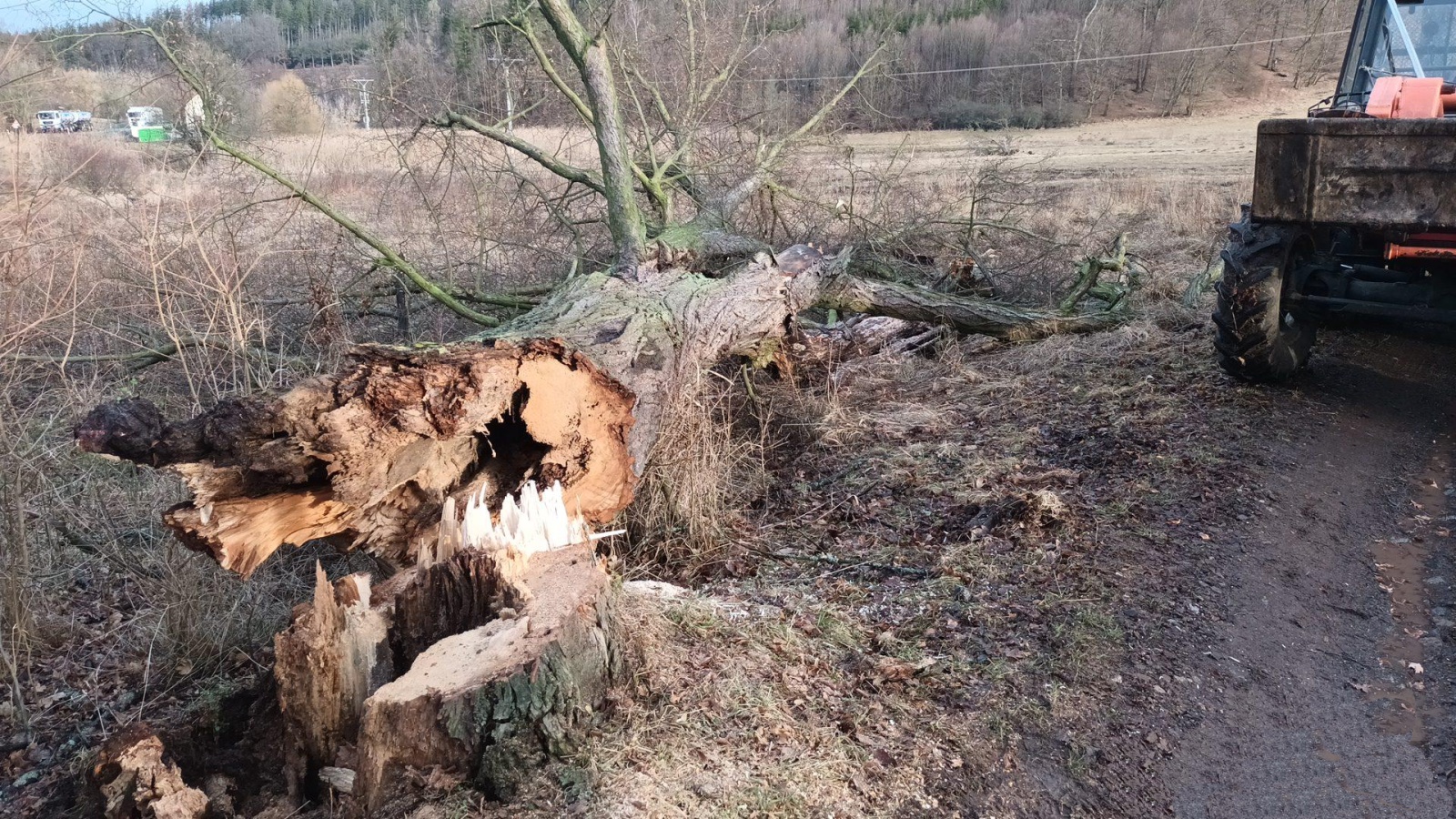 002-Spadlý strom v obci Hluboš na Příbramsku.jpg