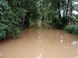 Slepé rameno řeky Blanice v Protivíně před vyhlášením 3. povodňového stupně