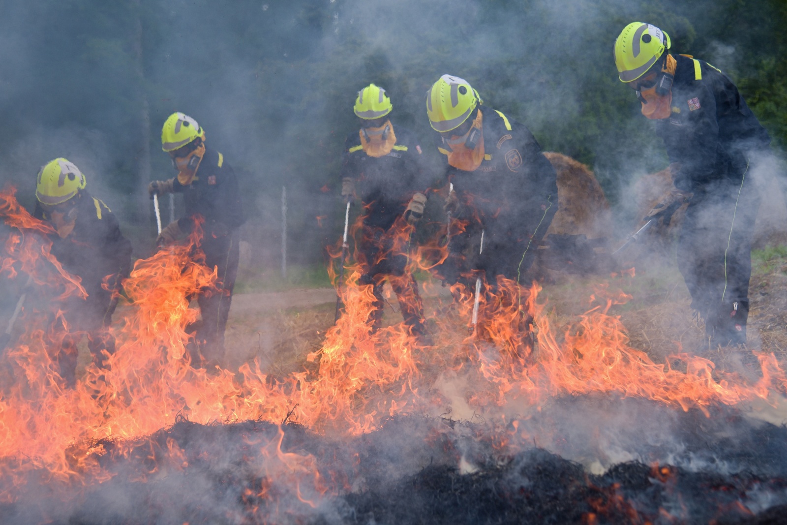 038-Výcvik hasičů předurčených na hašení polních a lesních požárů.jpg