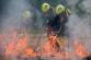 039-Výcvik hasičů předurčených na hašení polních a lesních požárů
