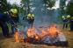 042-Výcvik hasičů předurčených na hašení polních a lesních požárů