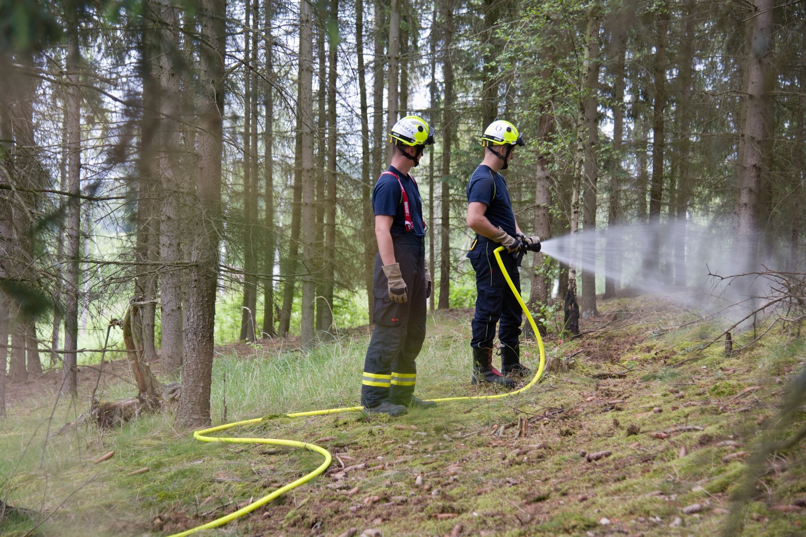 071-Výcvik hasičů předurčených na hašení polních a lesních požárů.jpg