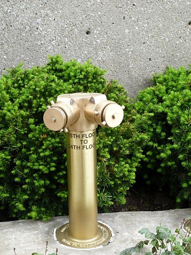 094-Petr Sviták Chicago hydrant.JPG