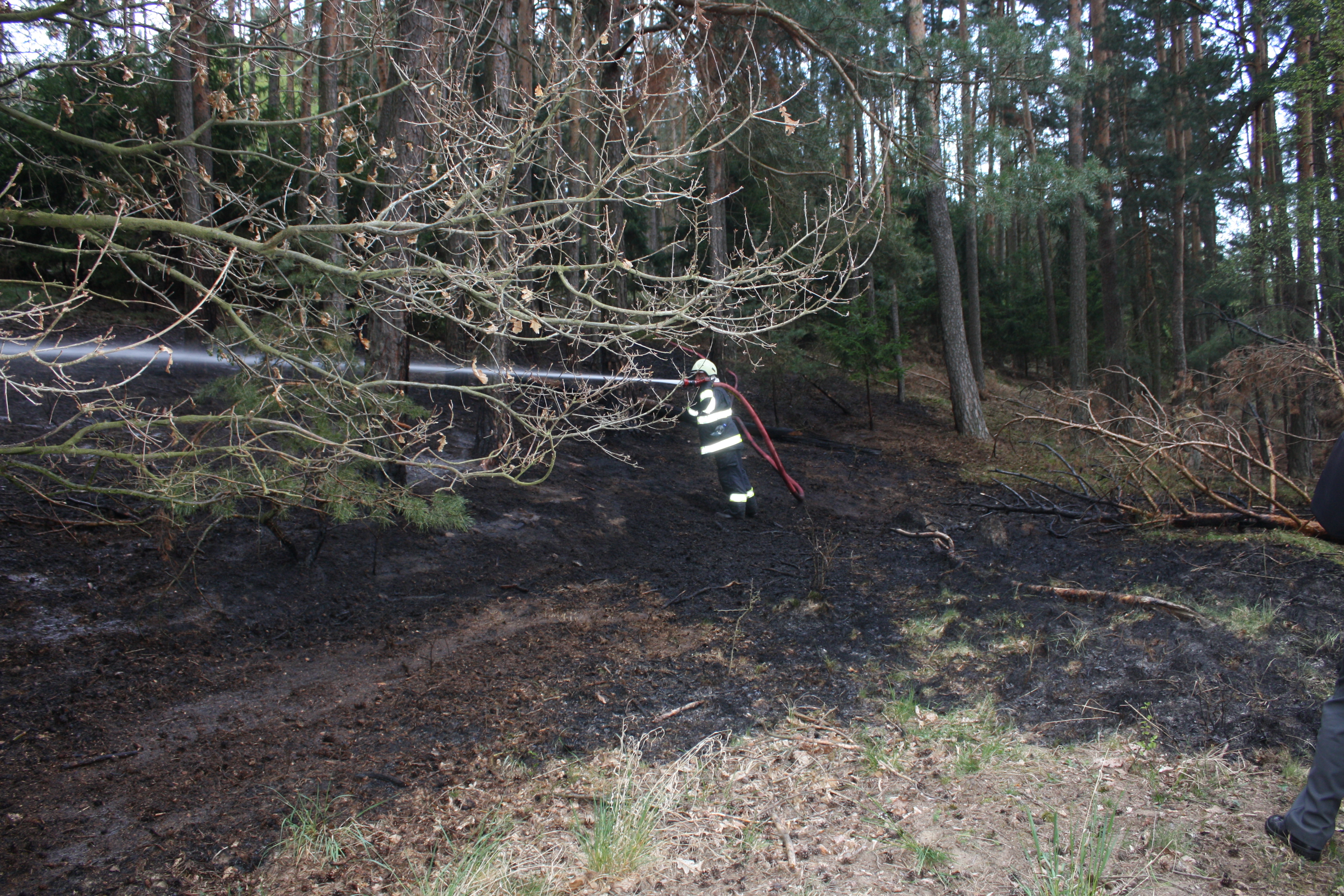 1 Požár lesa, Hněvkovice - 21. 4. 2014 (3).JPG