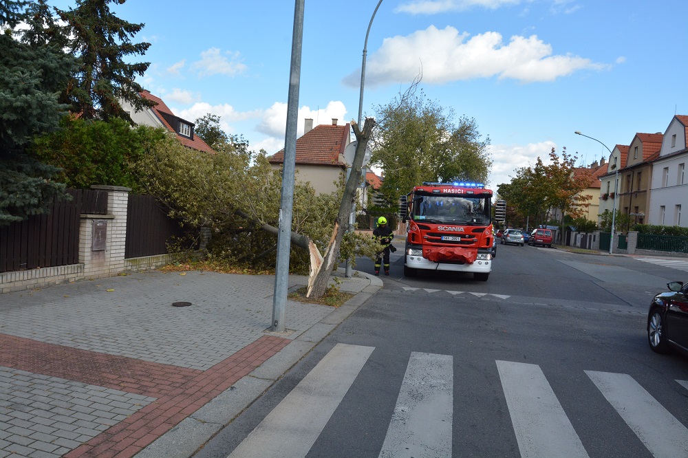 1 Spadlý strom Ořechovka