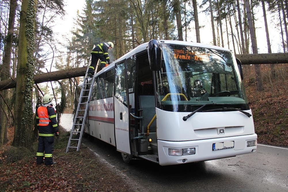1 Spadlý strom na bus, Plešovice - 31. 3. 2015 (2).JPG