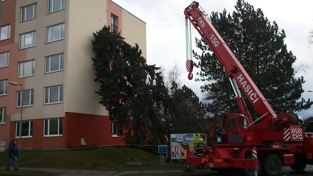 1 Spadlý strom na panelák, Bechyně - 31. 3. 2015 (2).jpg
