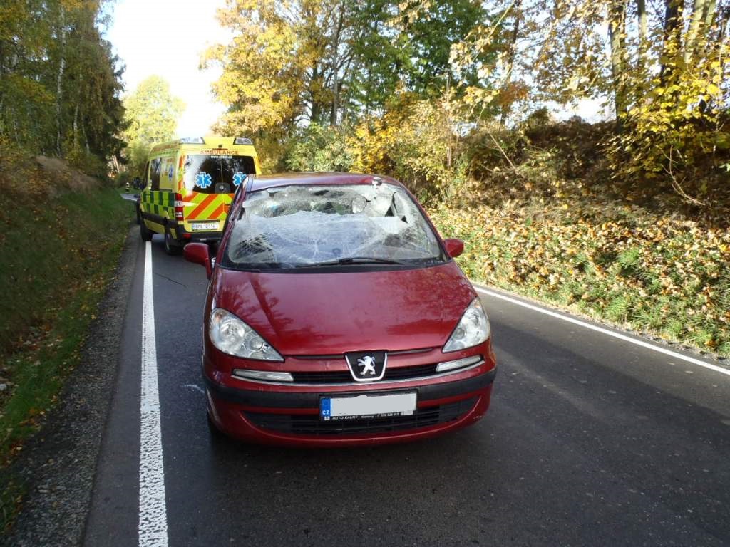 1.11.2016 (DO 8.36) DN Luženičky.JPG