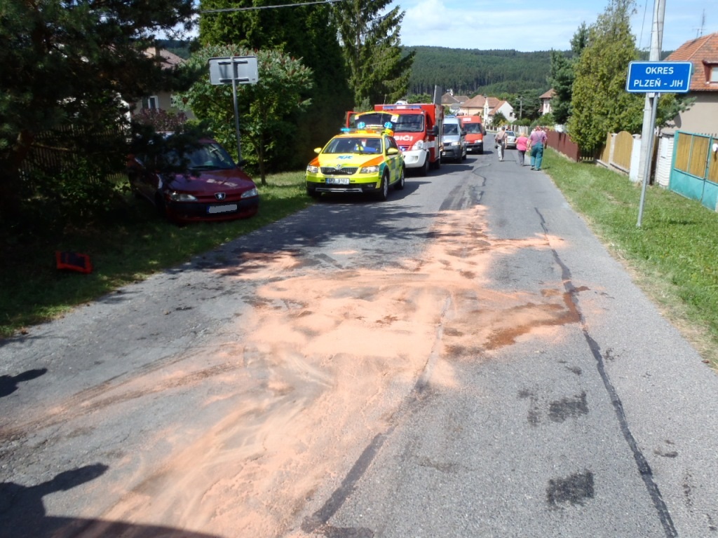 10.7.2017 (PJ 10.36) DN Čižice.JPG