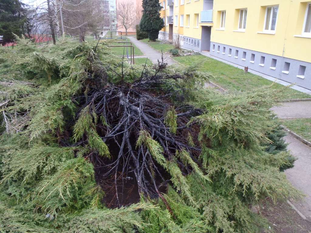 12.3.2016 požár dřevin Rokycany (RO 11.48).JPG