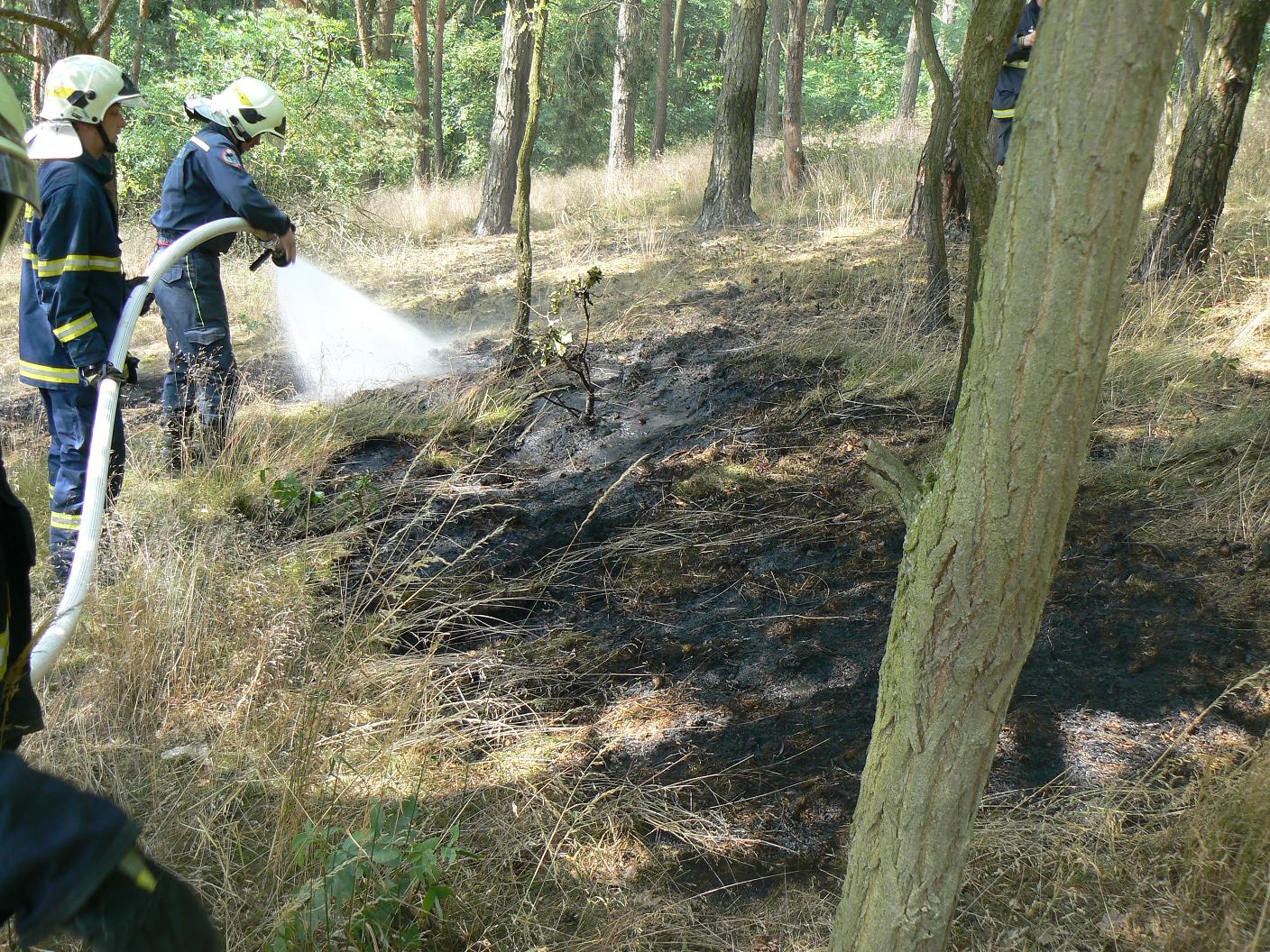 12.7.2015 požár lesa Holýšov.JPG