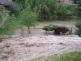 14-05-27 Lokální záplavy Rychnovsko (1)