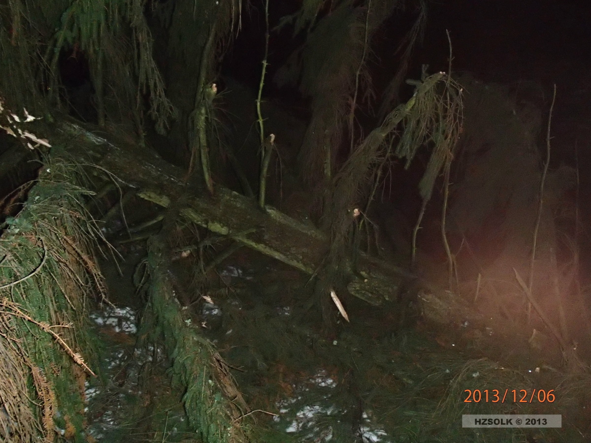 14 6-12-2013 TP Velké Losiny - spadené stromy (8).JPG