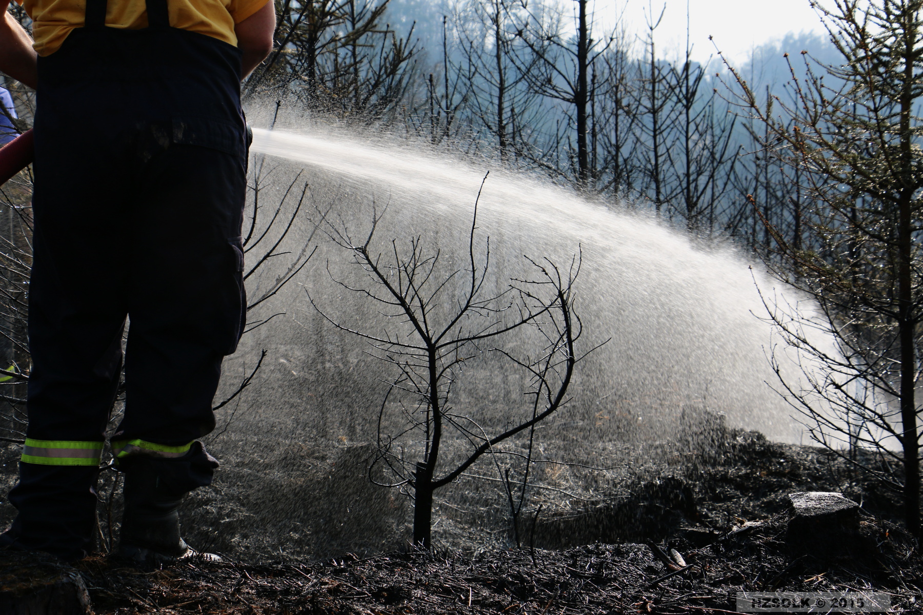 14 P_LP_24-3-2015 Požár lesa Přerov Penčice (21).JPG