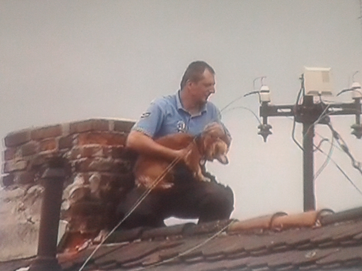 15.7.2015 záchrana psa ze střechy Plzeň.jpg