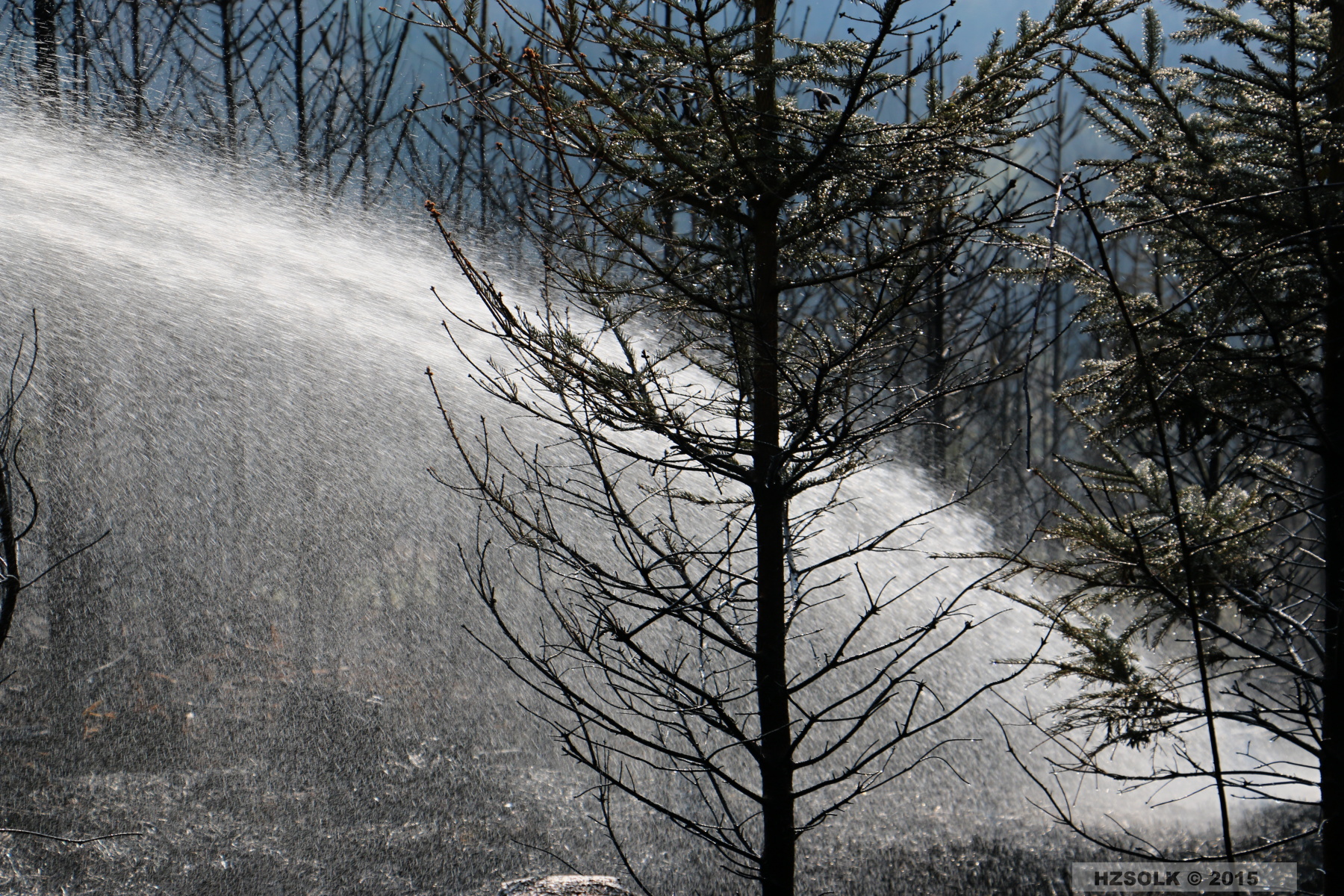 16 P_LP_24-3-2015 Požár lesa Přerov Penčice (23).JPG