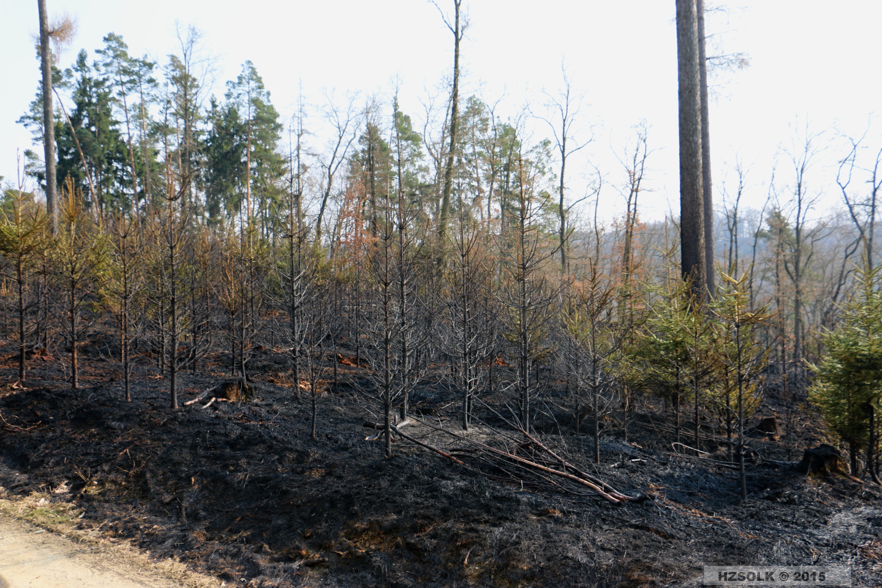 16 P_LP_24-3-2015 Požár lesa Přerov Penčice (66).JPG