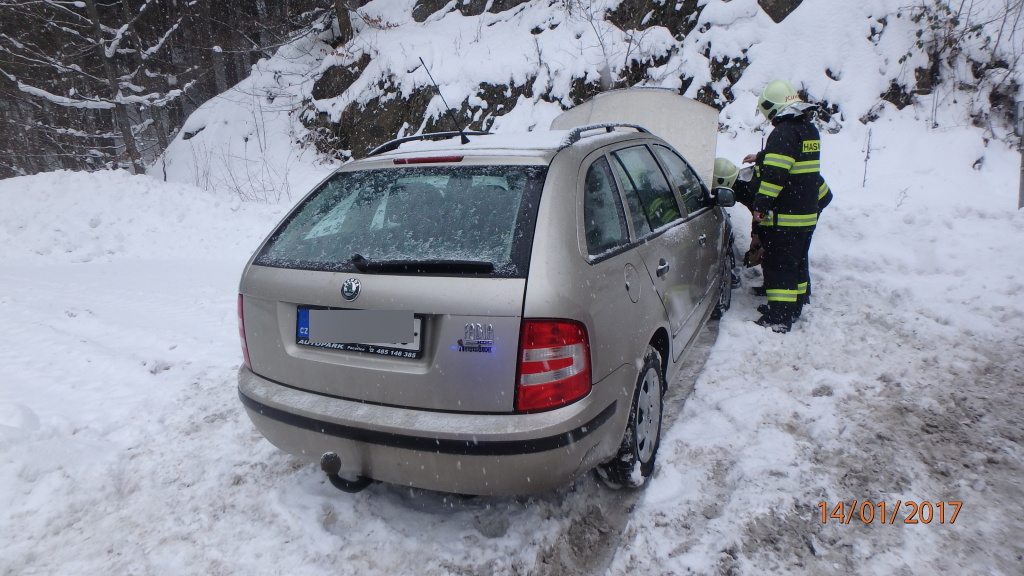 17-01-14 Javornice - Přím.JPG