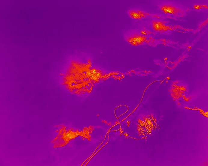 Termovizní snímek při požáru hrabanky pomáhá identifikovat skrytá ohniska