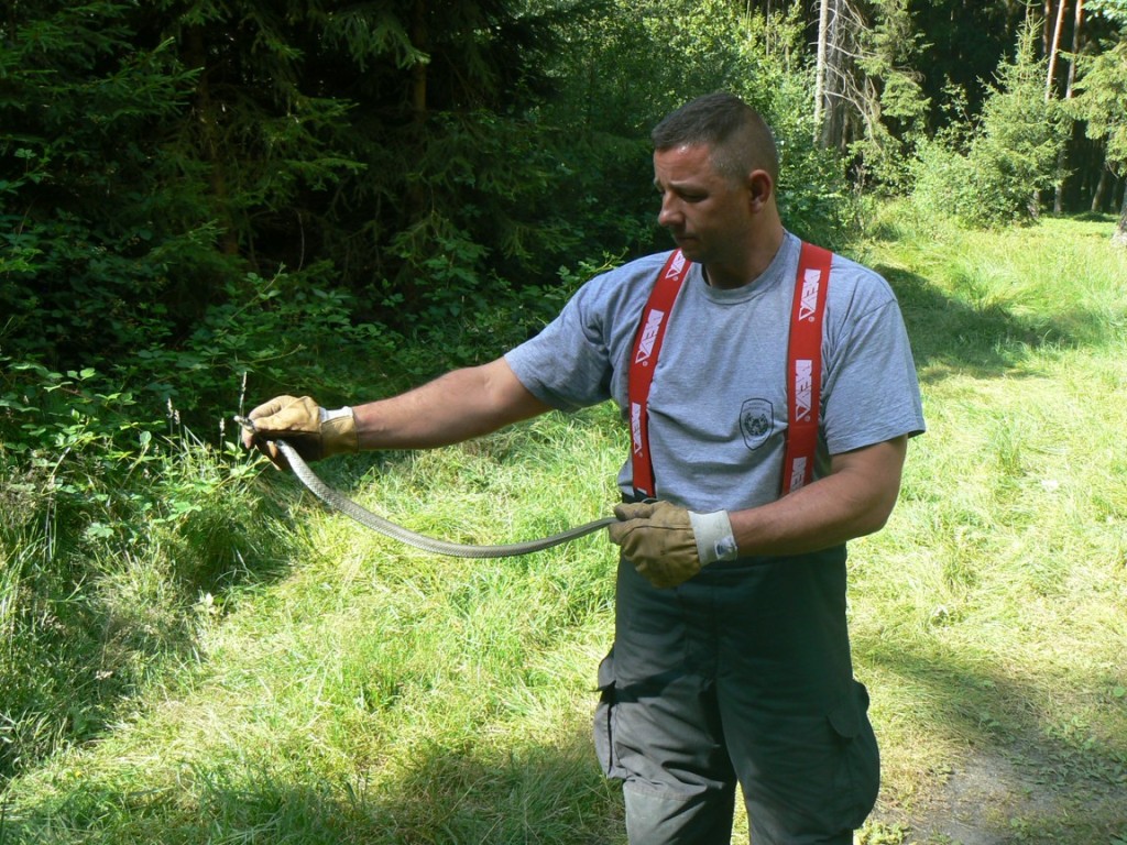 19.7.2016 (PJ 15.53) had Kloušov.JPG