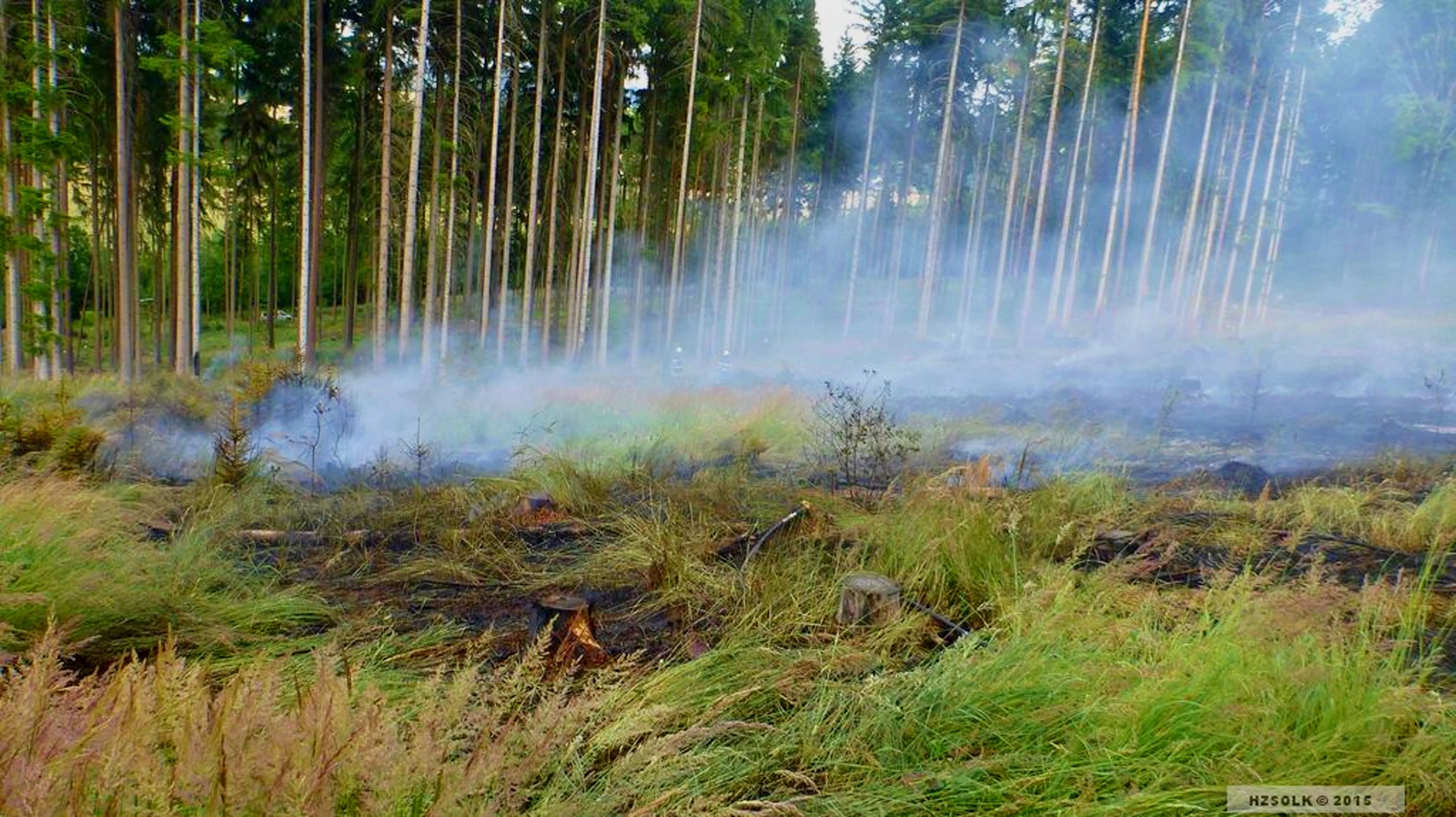 2 16-6-2015 Požár lesní porost Dlouhomilov (2).JPG