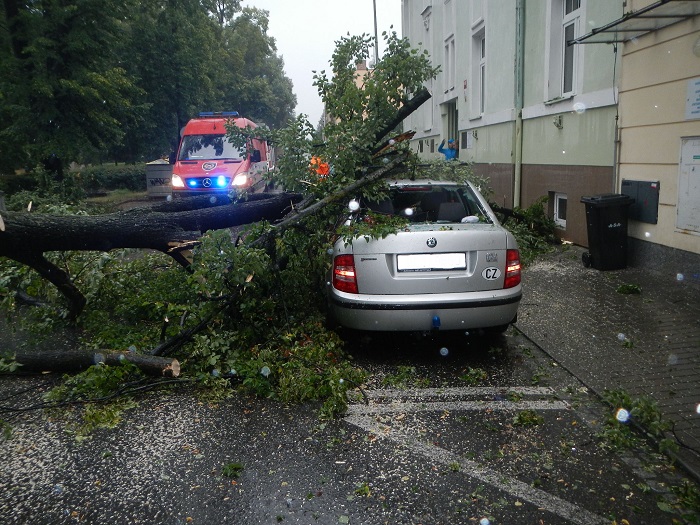 2 Pád stromu na 2 OA, České Budějovice - 21. 7. 2014 (2).jpg