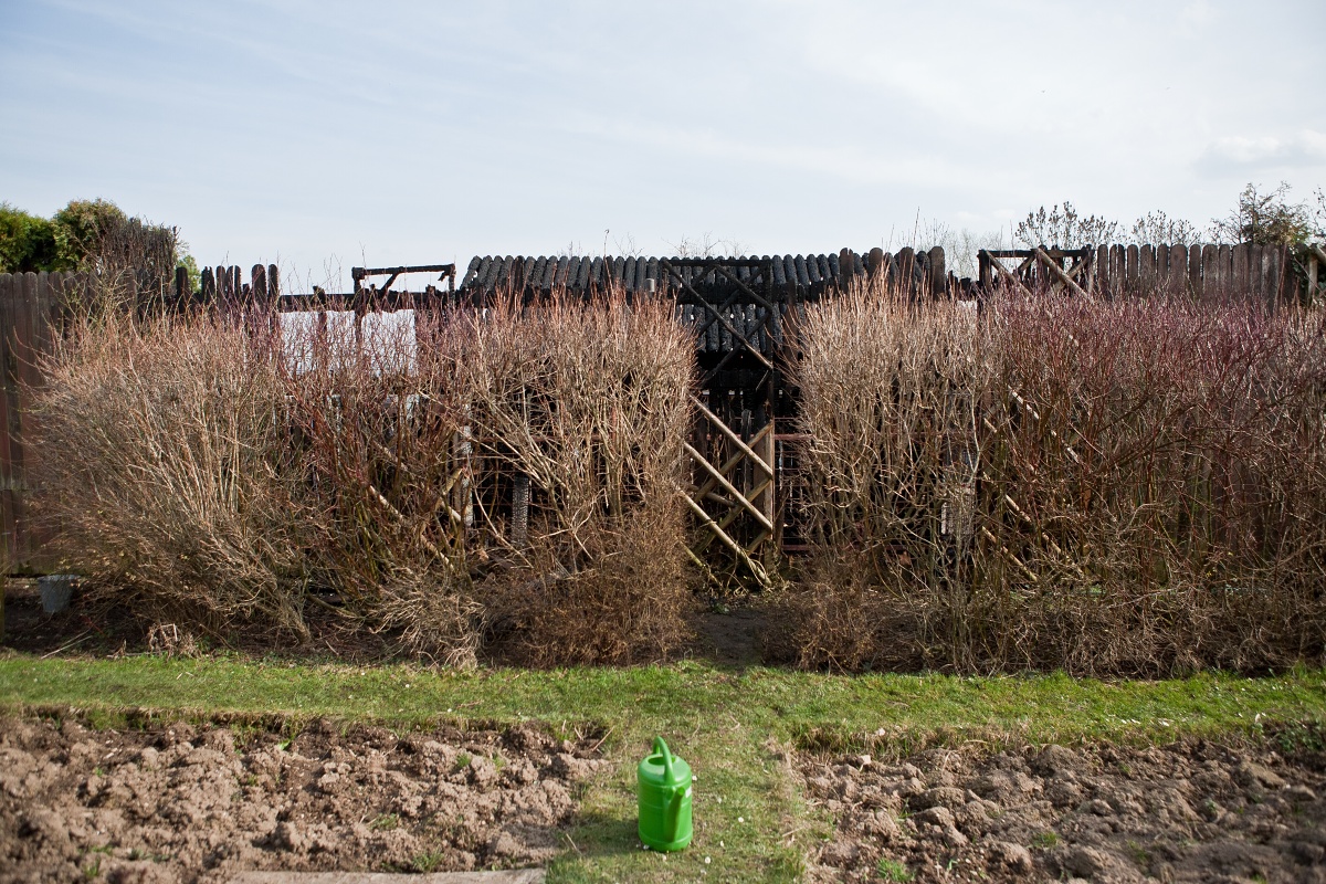 2 Požár ZOO, Tábor - 22. 3. 2014 (3).jpg