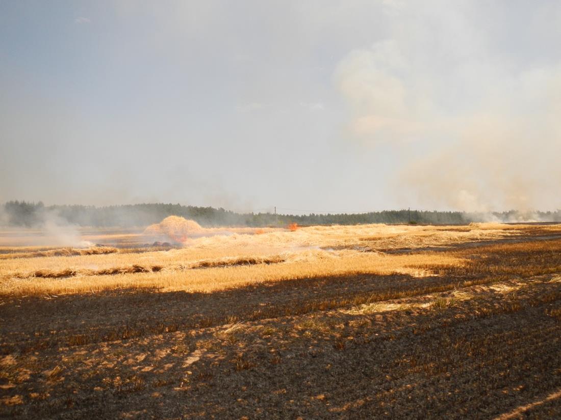 2 Požár pole, Kučeř - 7. 7. 2015 (4).JPG