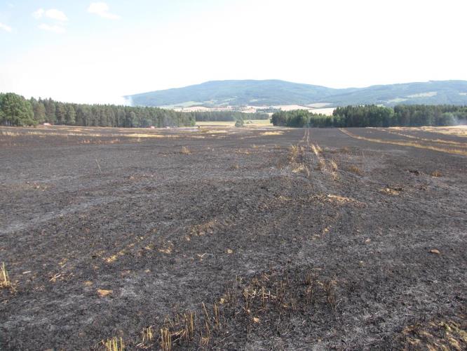 HZS Jihočeského kraje: požár lesa u Nové Vsi