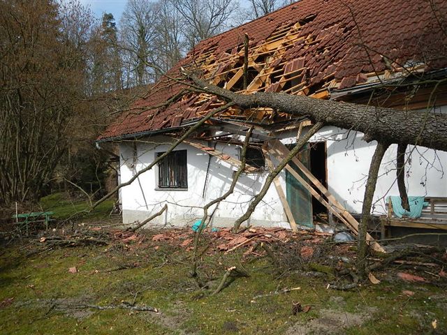 2 Spadlý strom na dům, Plavsko - 17. 3. 2015 (3).jpg