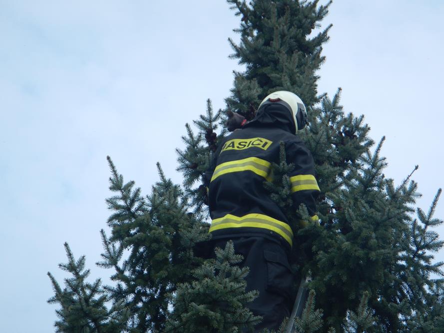 2 Záchrana kočky, Týn nad Vltavou - 26. 3. 2015 (4).JPG