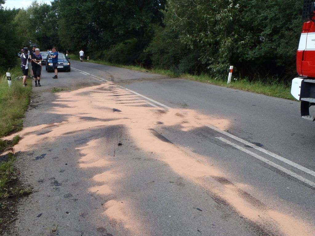 21.8.2016 (TC 17.04) DN Stříbro.JPG