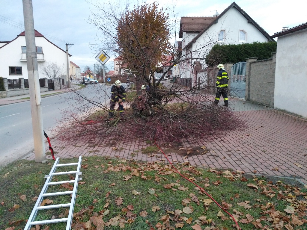 24.11.2017 (PJ 15.46) Dobřany - nebezpečné stromy.jpg