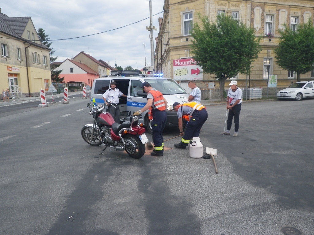 25.6.2017 (PJ 18.06) DN Chotěšov.JPG