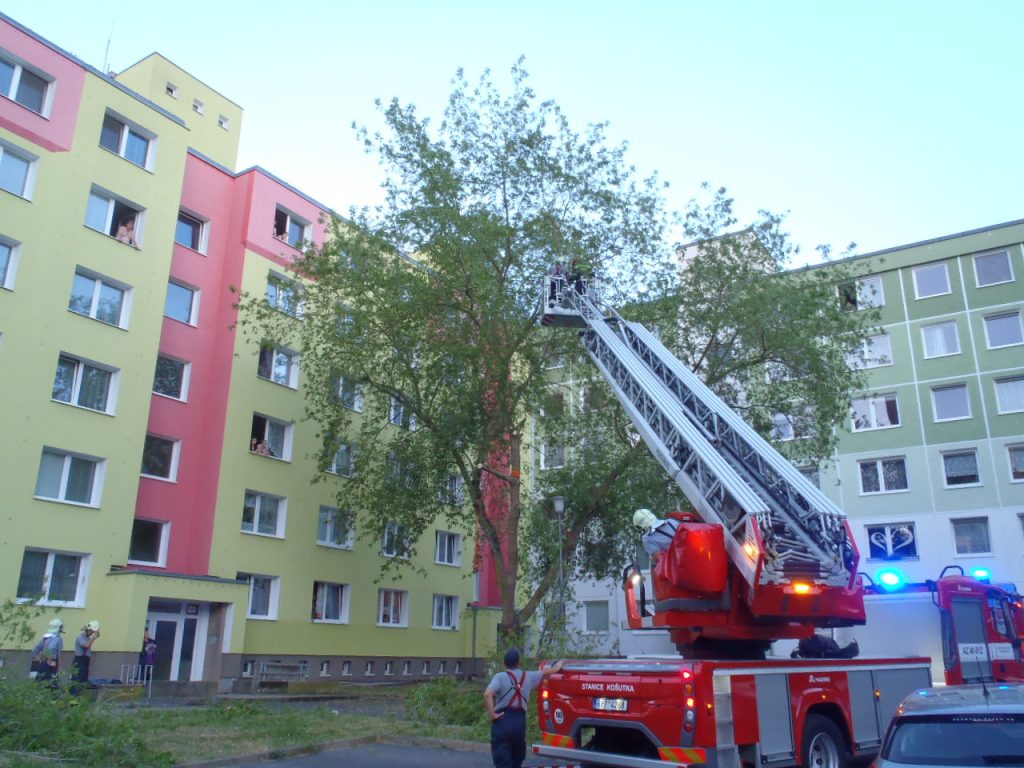 26.6.2017 (PM 17.59) strom - Plzeň, Brněnská (2).JPG