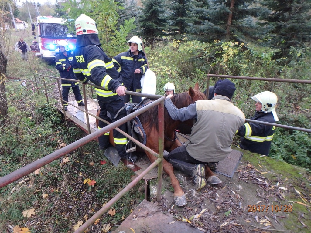 28.10.2017 (PJ 15.16) Blovice - záchrana koně (3).JPG