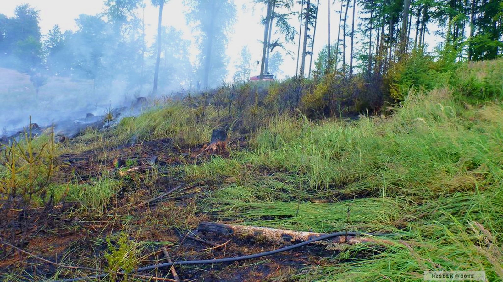 3 16-6-2015 Požár lesní porost Dlouhomilov (3).JPG