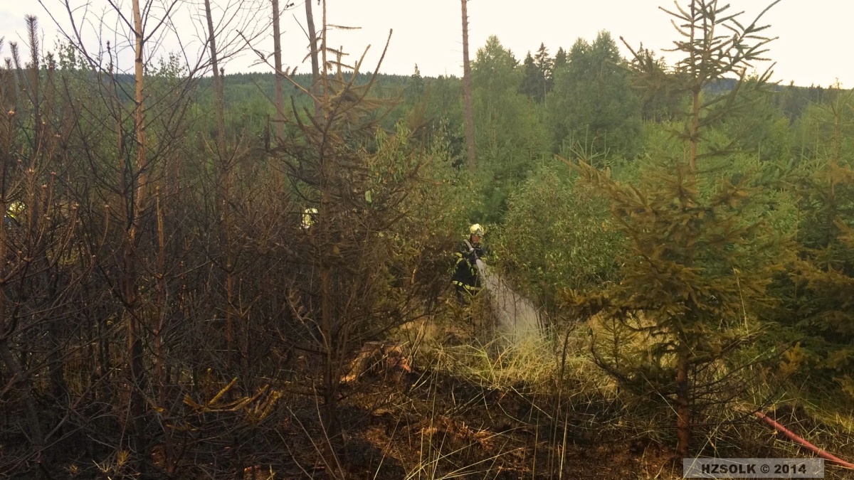 3 P_LP_25_7_2014_Požár lesního porostu Dzbel (3).jpg