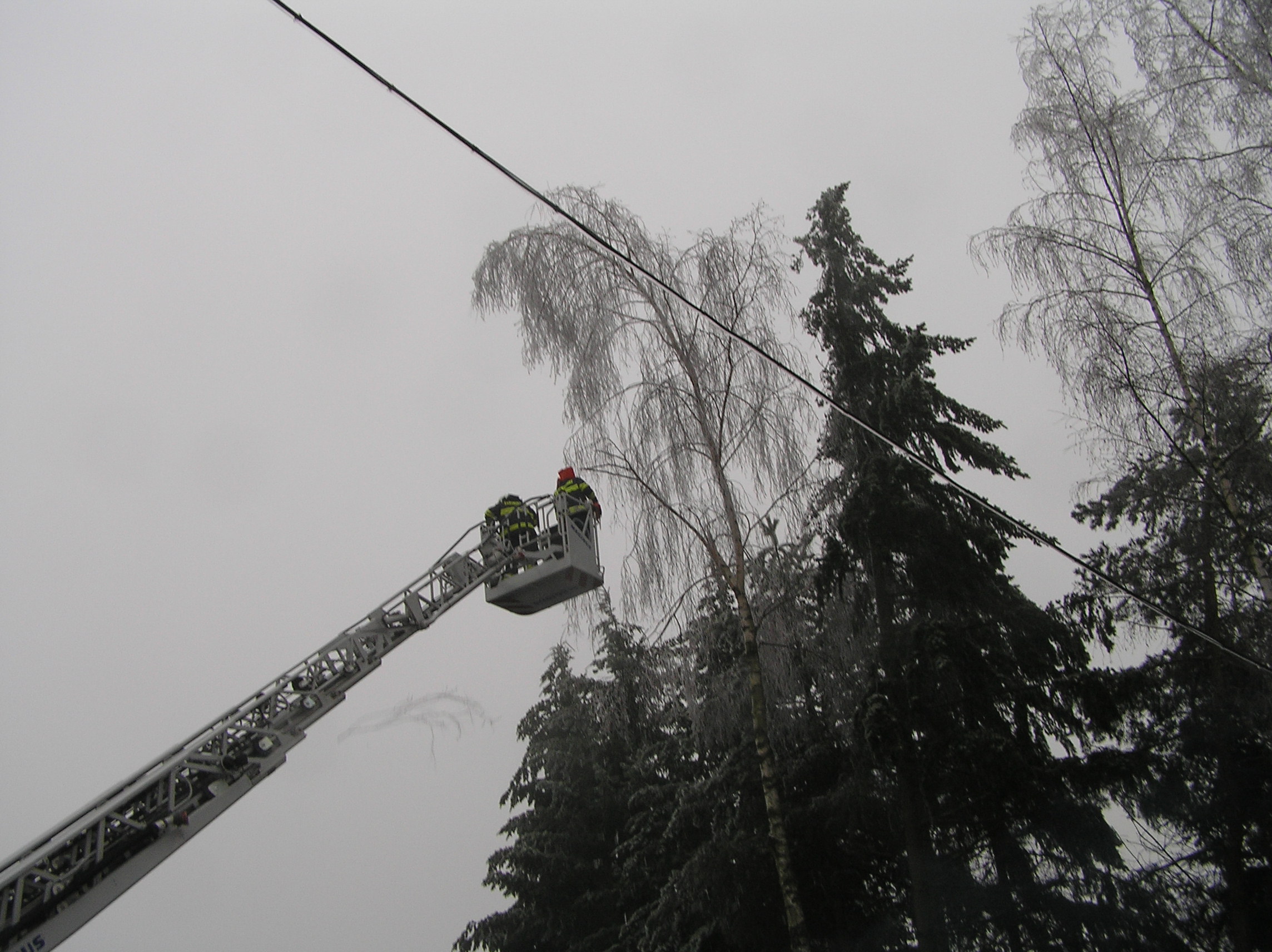 3.12.2014 Míšov - nahnuté stromy.JPG