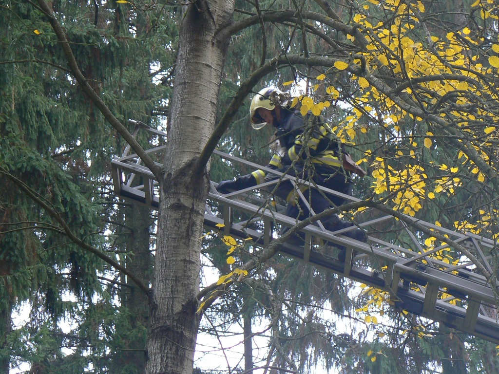 30.10.2015 Staňkov, záchrana kočky.JPG