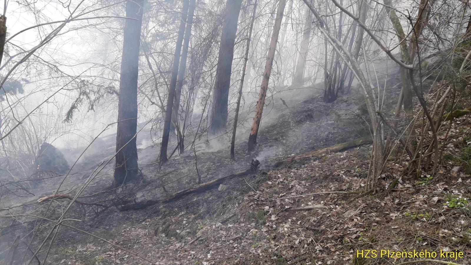 31_3_2019 požár les Čímice Podmokly (2).jpg