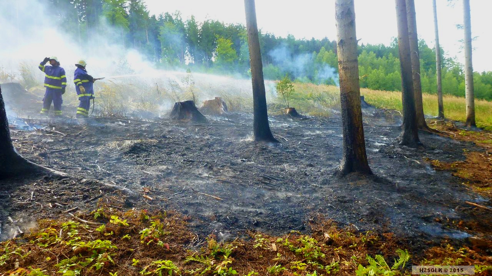 4 16-6-2015 Požár lesní porost Dlouhomilov (4).JPG