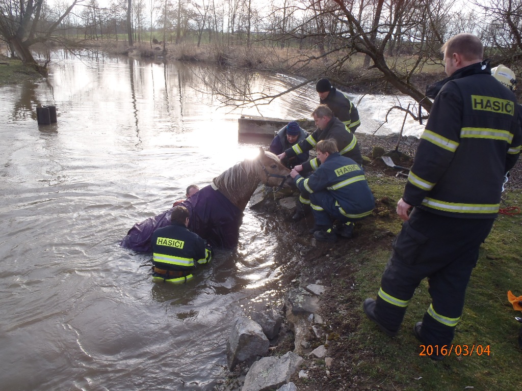 4.3.2016 ZOZ Plzeň Černice.JPG