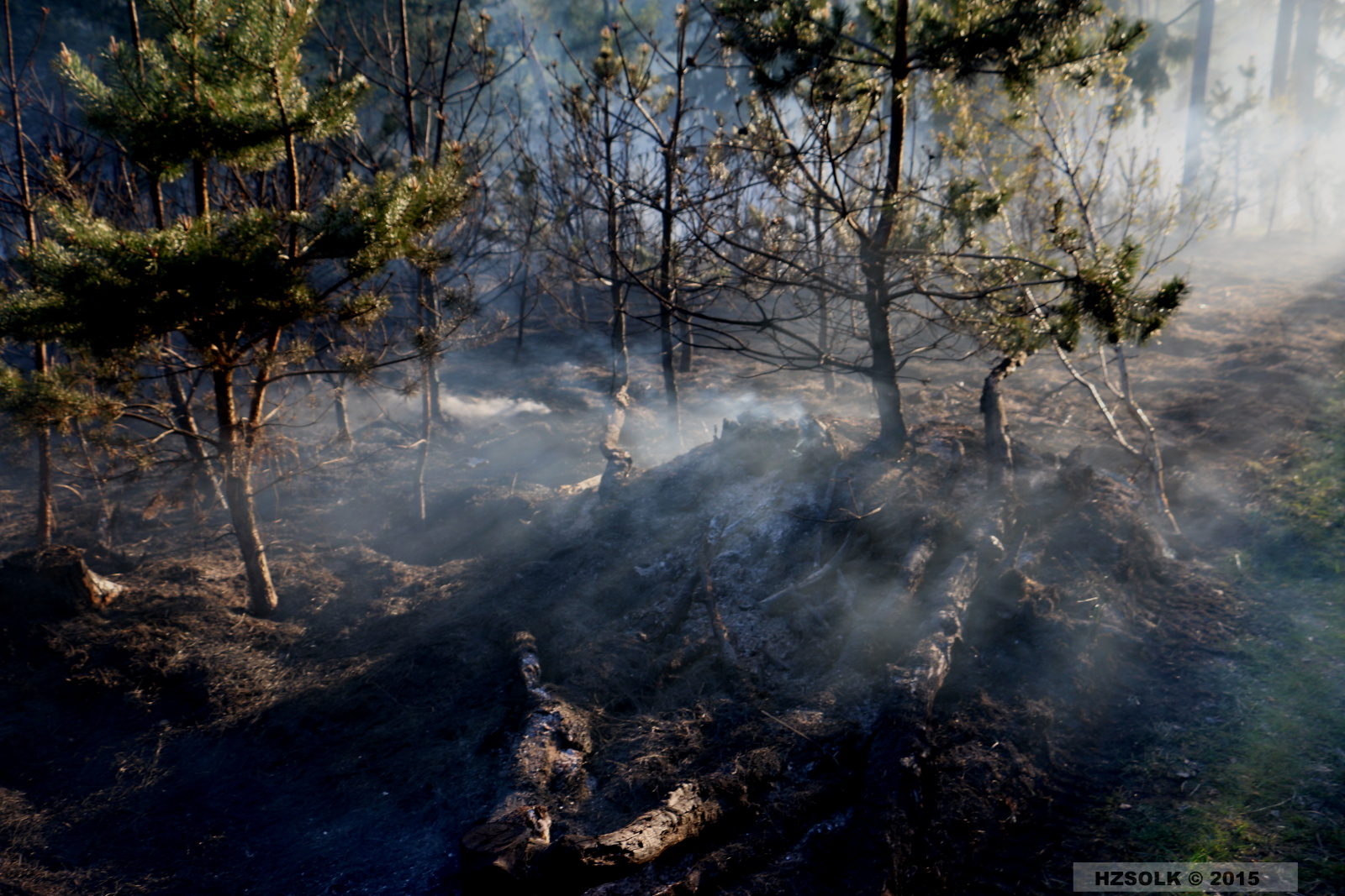 5 21-4-2015 Požár lesa Náměšť na Hané (13).JPG